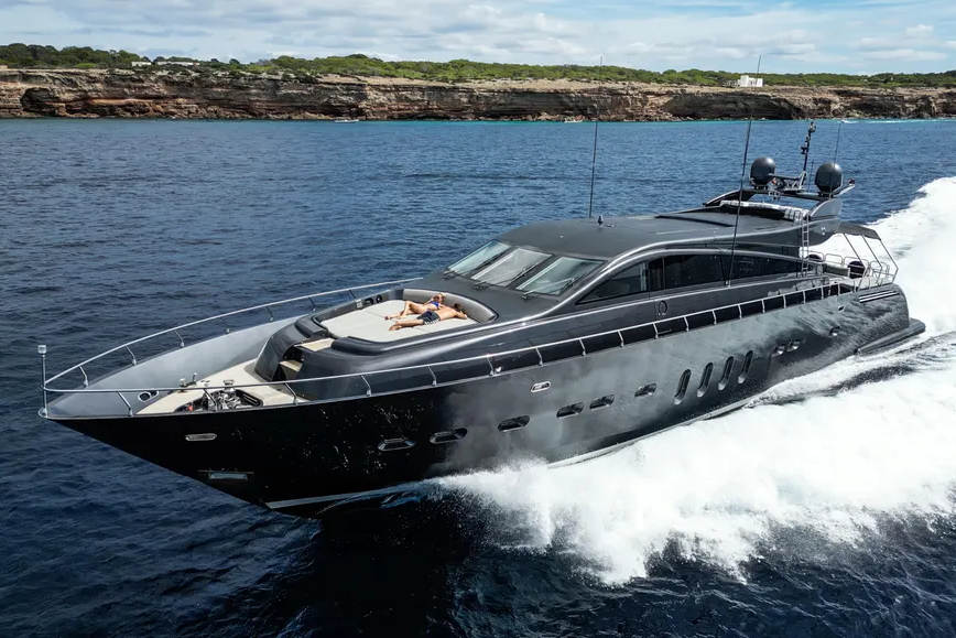 Leopard 31